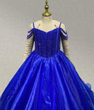 Little Child's Sparkly Royal Formal Dress Pageant