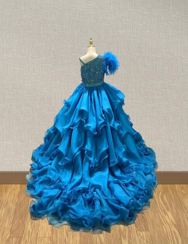 Elegant Beaded Bodice flower Girl Pageant Dress