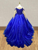 Little Child's Sparkly Royal Formal Dress Pageant